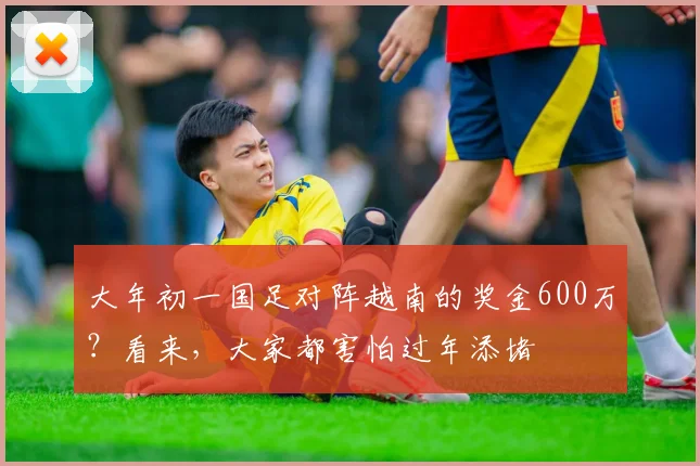 大年初一国足对阵越南的奖金600万？看来，大家都害怕过年添堵