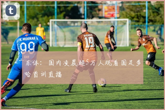 东体：国内凌晨超5万人观看国足多哈首训直播