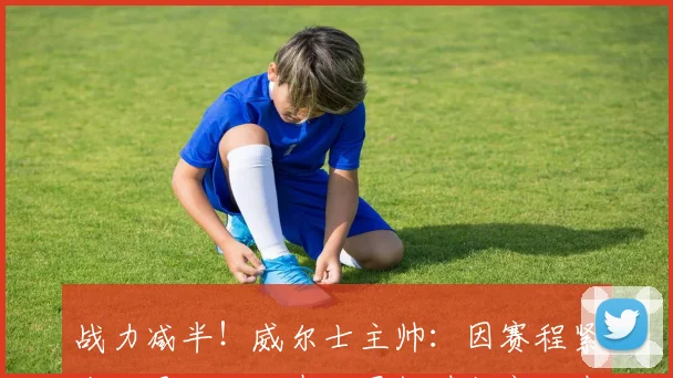 战力减半！威尔士主帅：因赛程紧张，贝尔不可在世界杯时打高尔夫