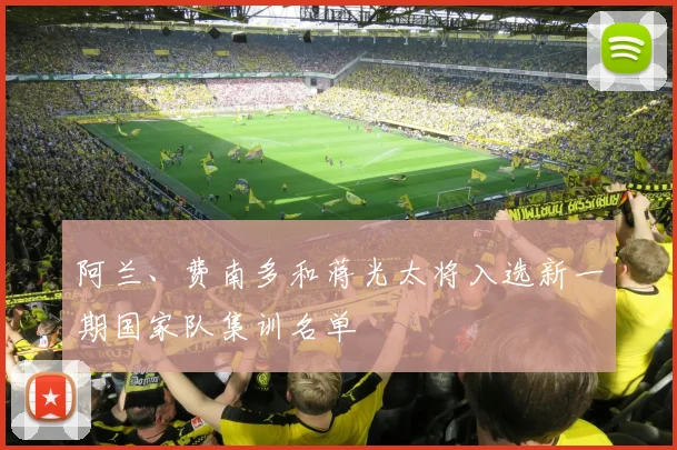 阿兰、费南多和蒋光太将入选新一期国家队集训名单