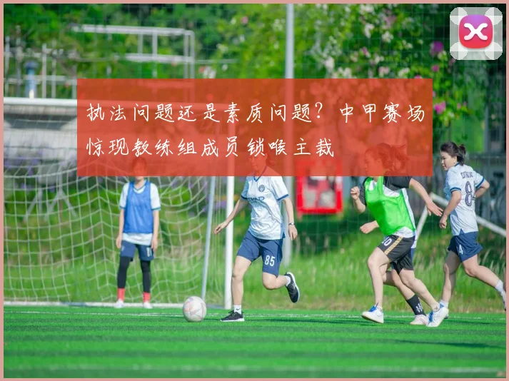 执法问题还是素质问题？中甲赛场惊现教练组成员锁喉主裁